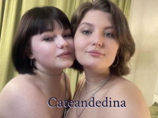 Cateandedina